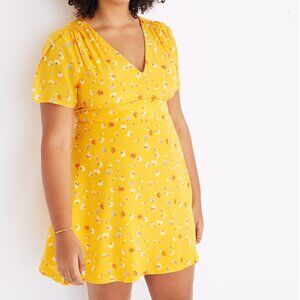 Madewell Silka Belladonna Dress in Painted Carnations